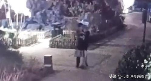 emm吃瓜视频完整版,揭秘娱乐圈幕后真相，带你领略明星真实生活