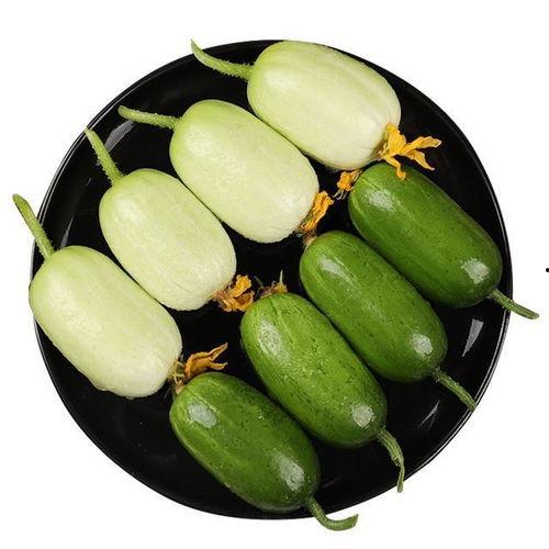 四棱瓜好吃吗怎么吃视频,视频教你如何品尝佳肴